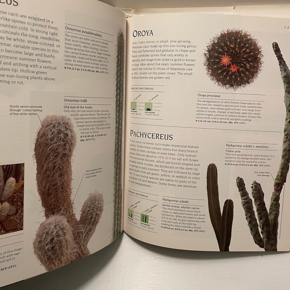 The Complete book of cactus & succulents - Picture 4 of 5